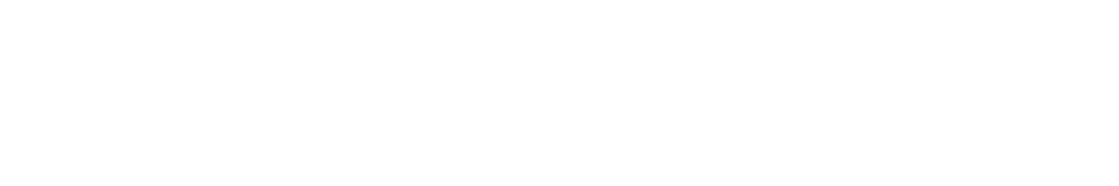 logo-seguridad-america-posicionamiento-web-seo-garrido-seo-pro