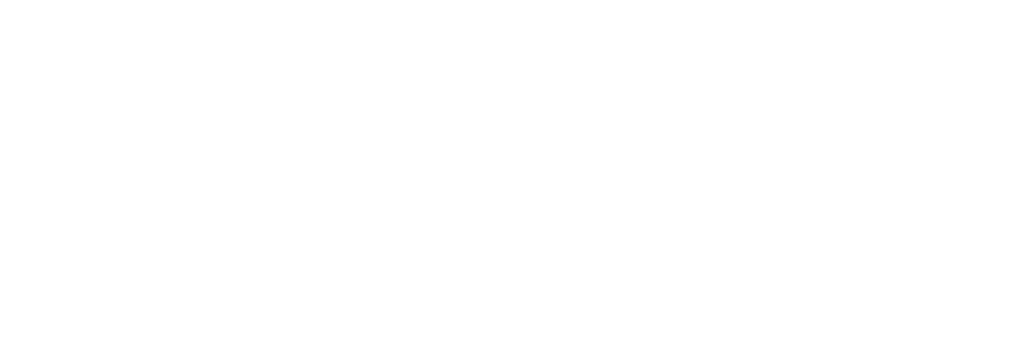 logo-besal-posicionamiento-web-seo-garrido-seo-pro